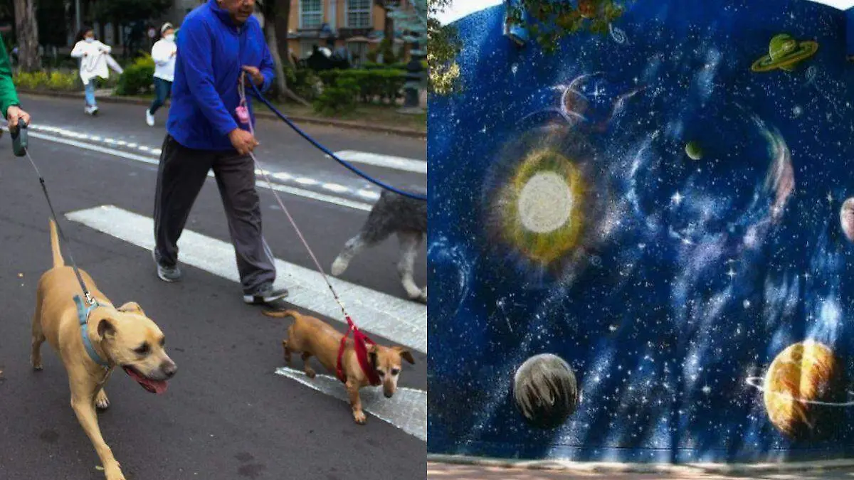 Diseño sin título