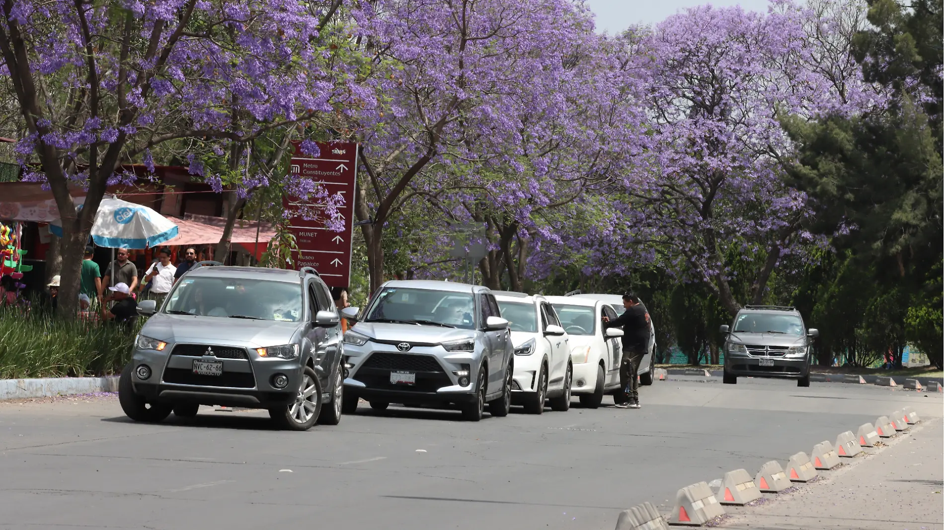 parque_aztlán_lovera2