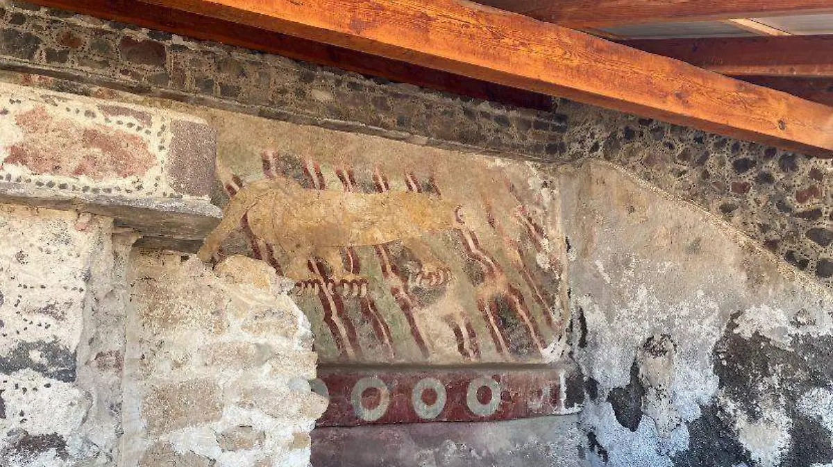 Image 2024-04-04 at 11.12.22 PM