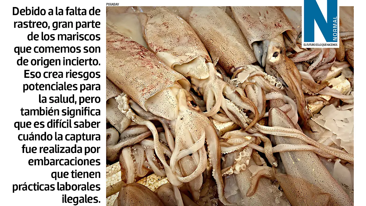 mariscos SITIO2