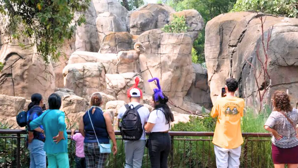 zoológico de chapultepec_archivo1