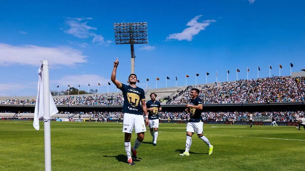 Pumas