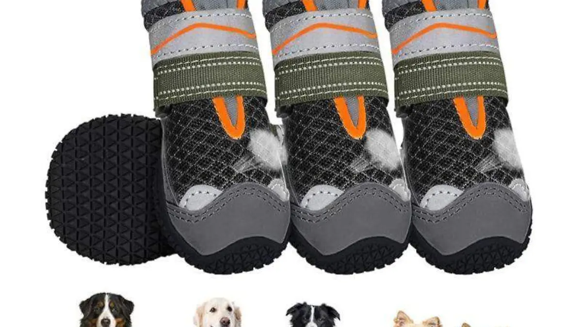 zapatos para perro