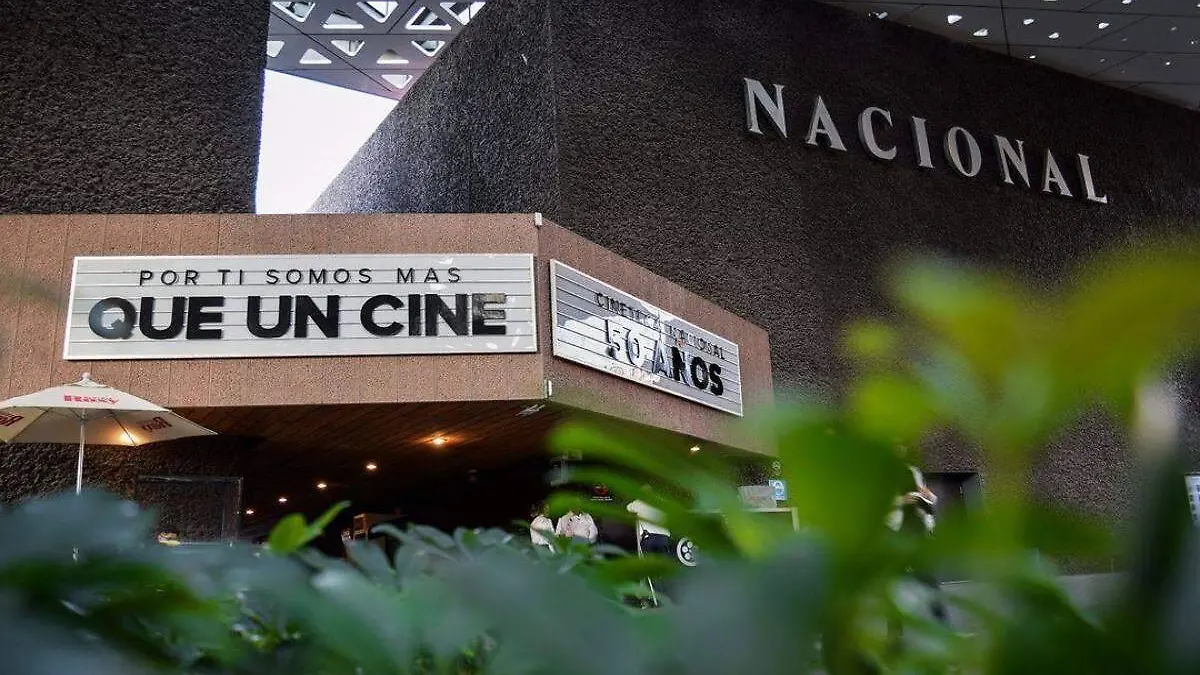 Cineteca