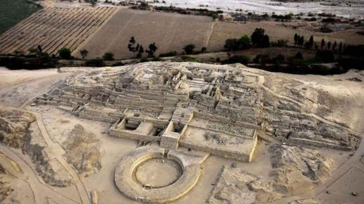 Construcción  (82)