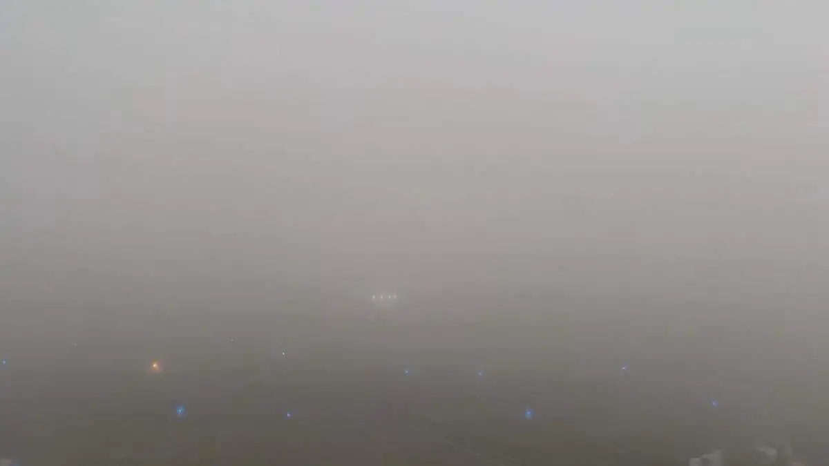 niebla (1)