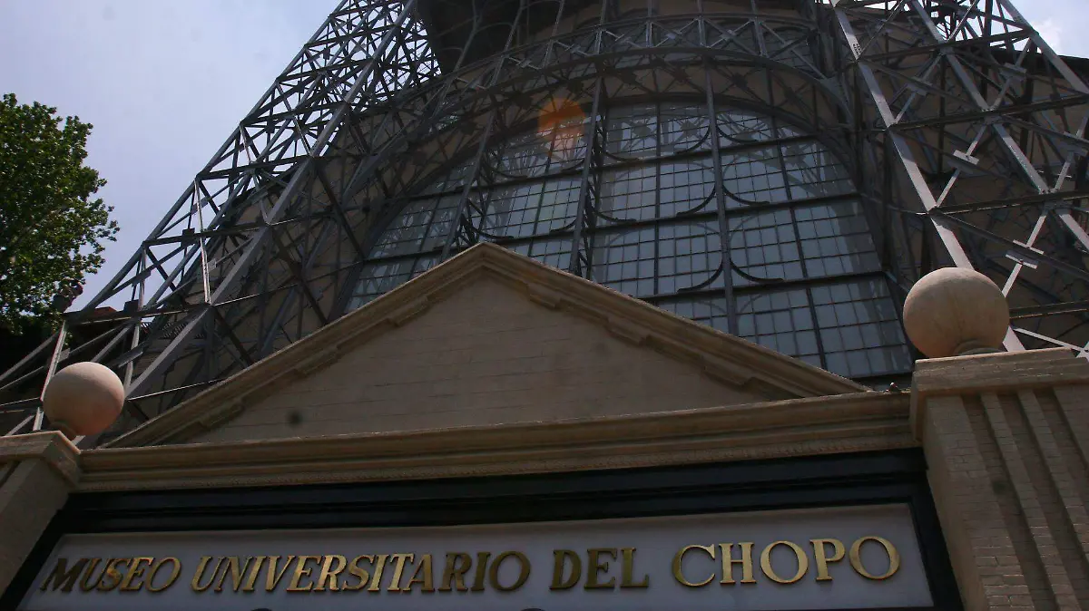 256397_Museo del Chopo-3_web