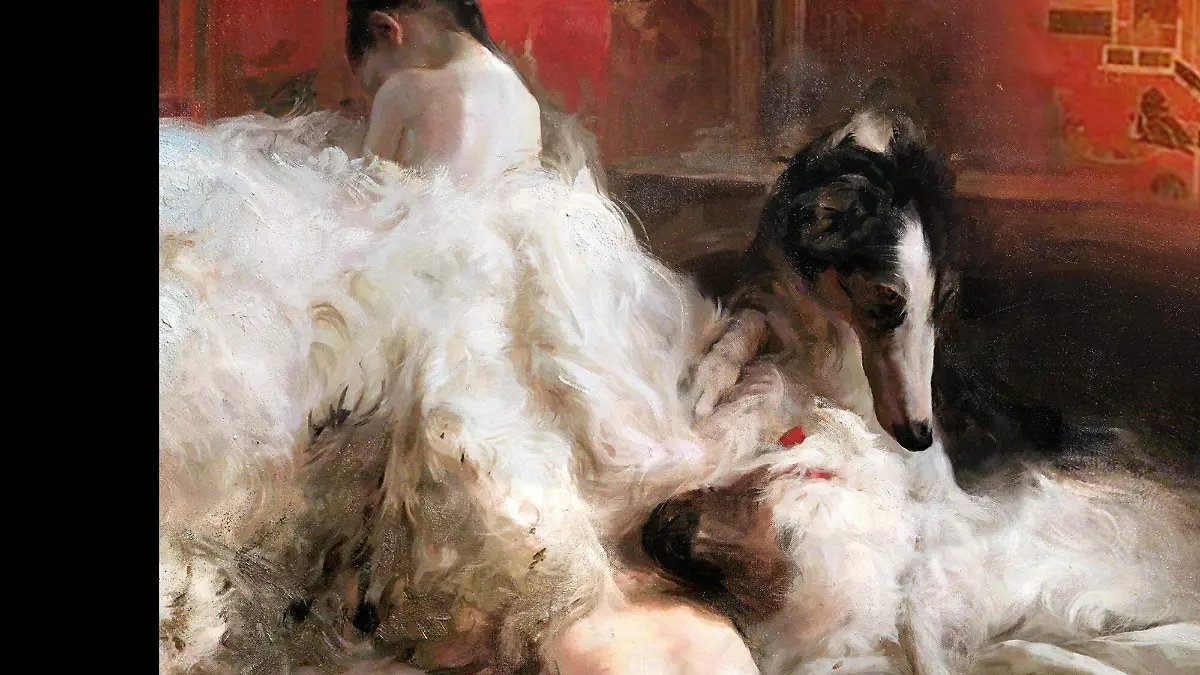Portada Arriaga