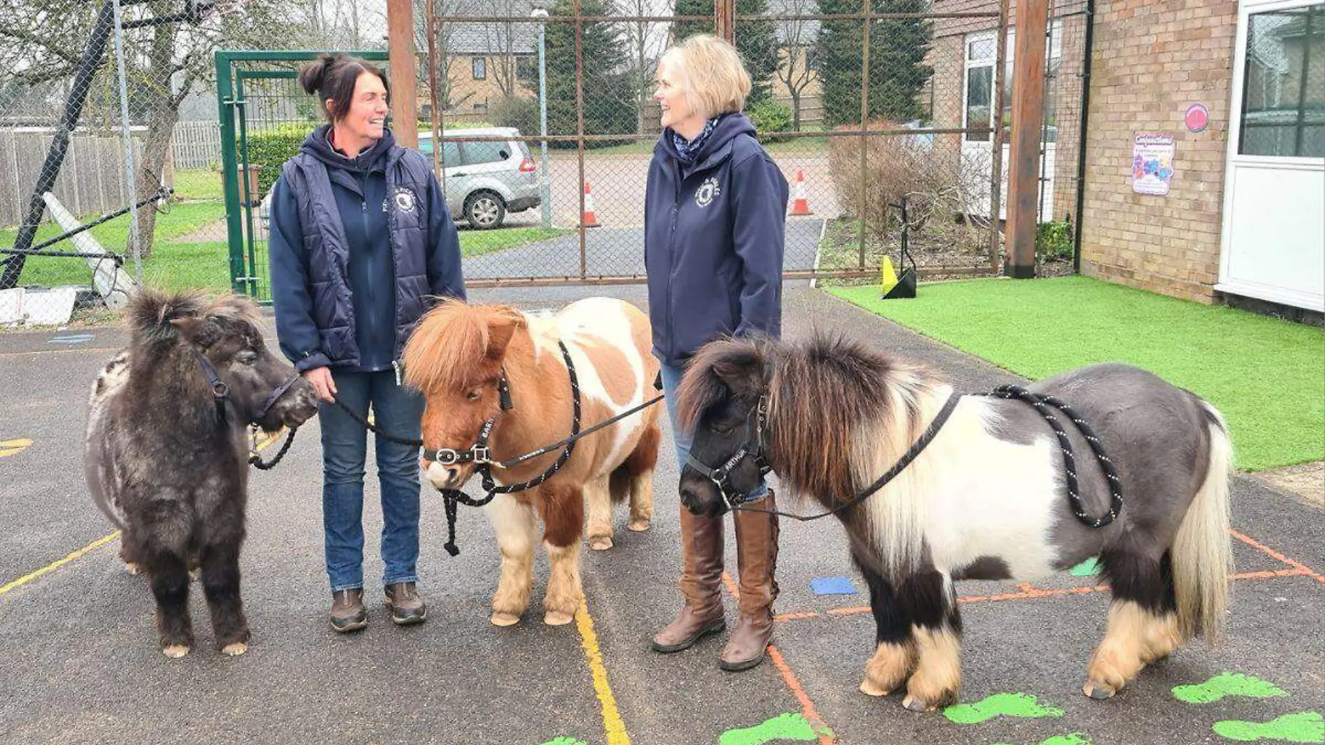 Ponys-terapia