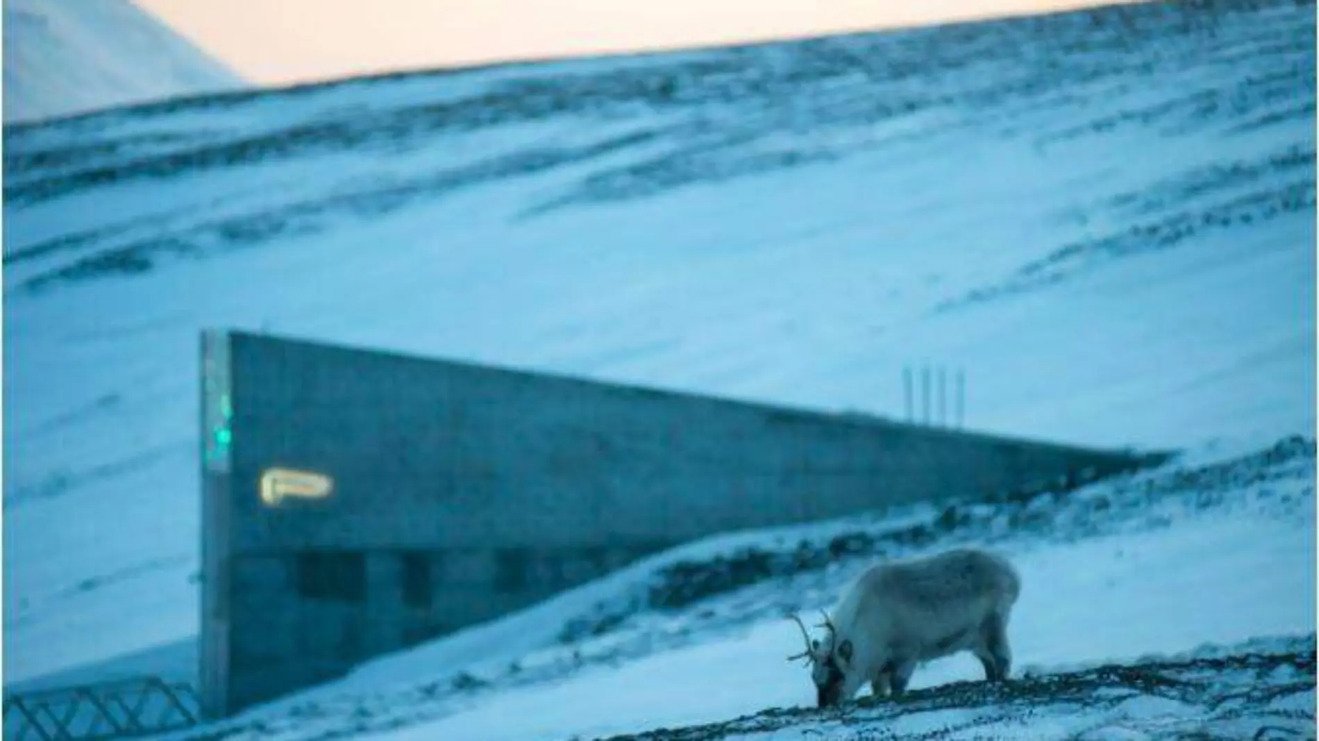 Svalbard