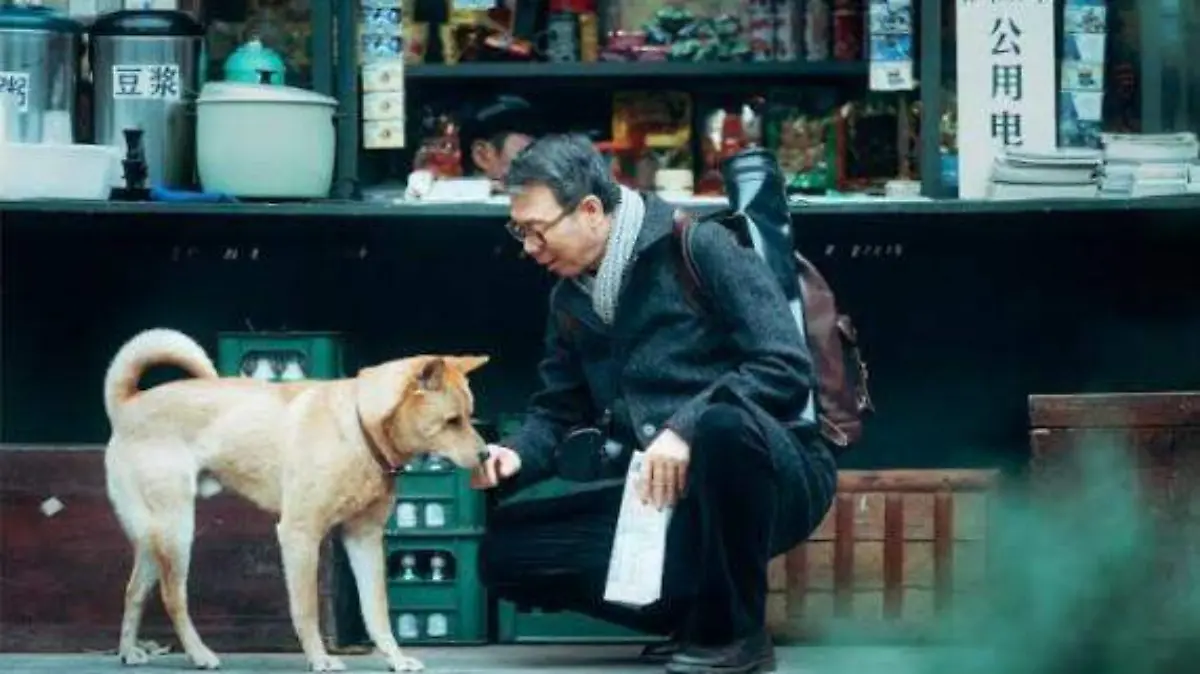 Hachiko