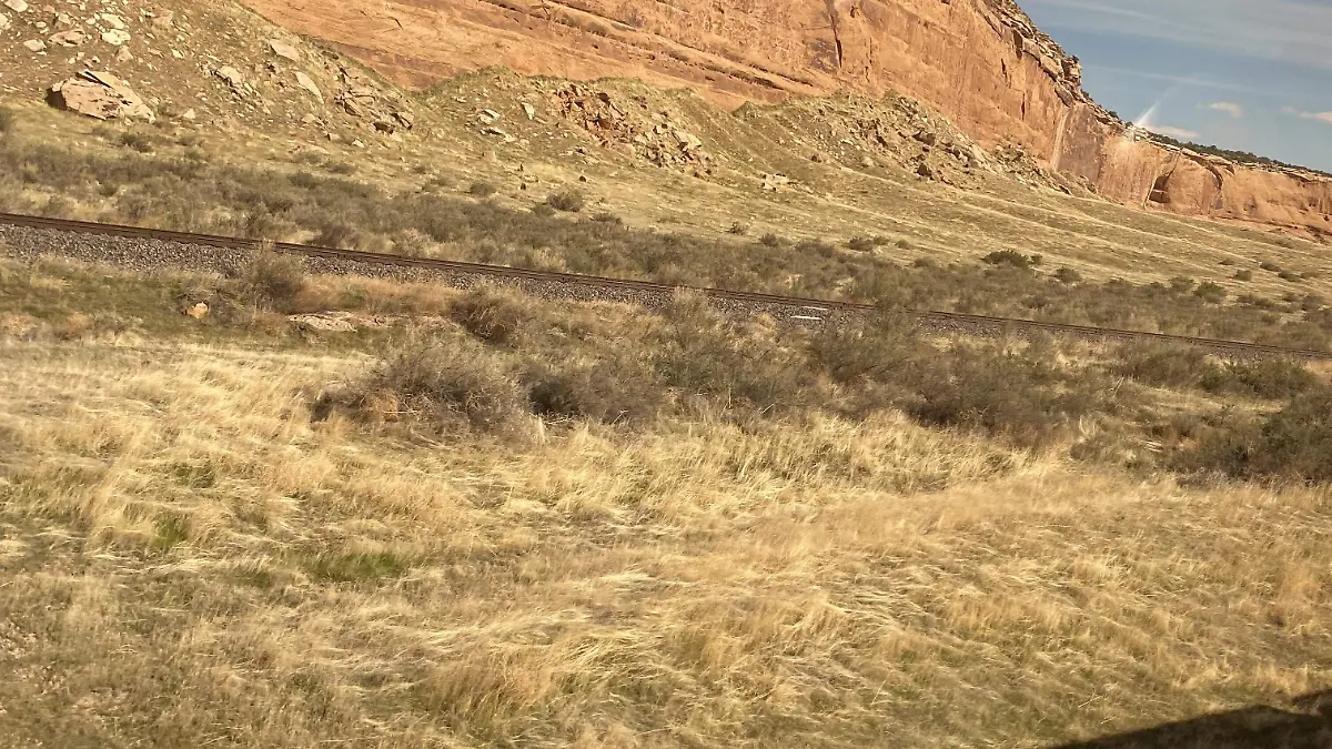 Cruzada Estadounidense