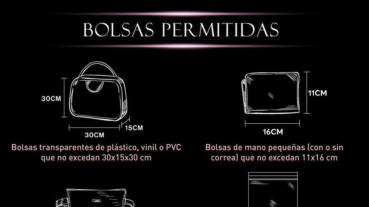 Bolsas permitidas