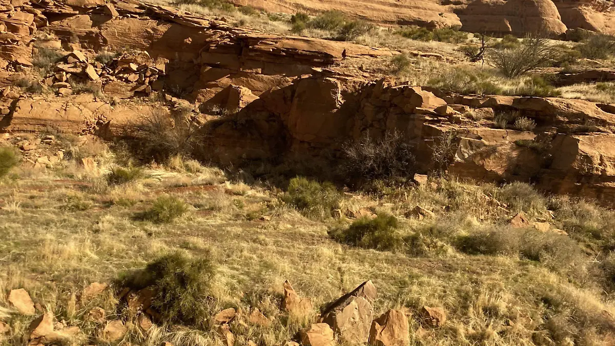 Cruzada Estadounidense