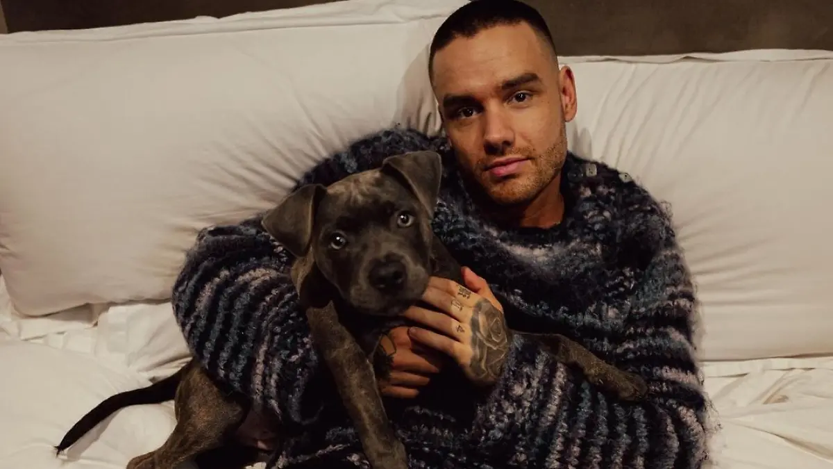 Liam Payne-One Direction