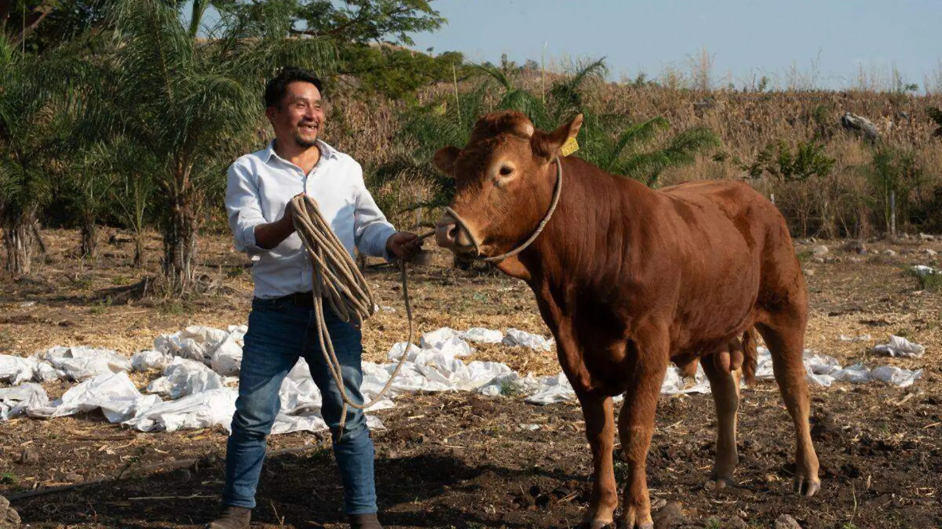 ganaderos