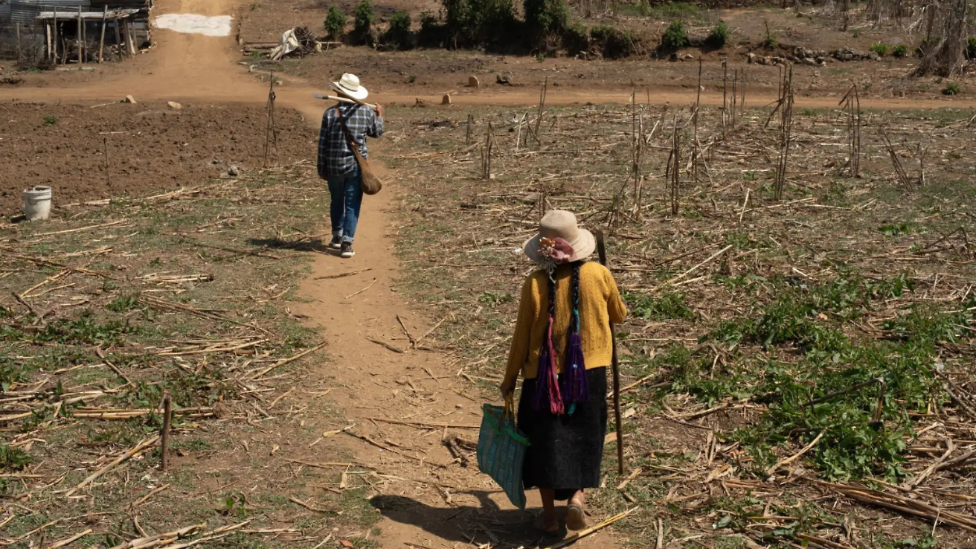 Agricultura