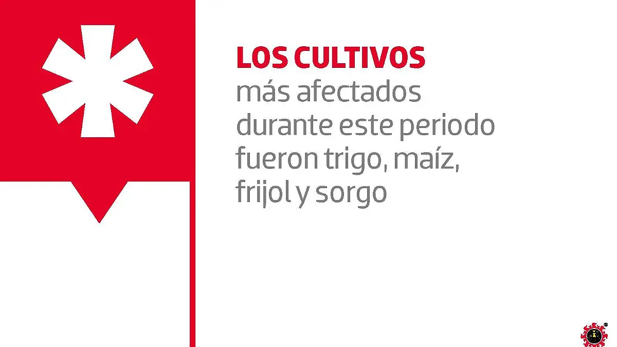 REP-PIB AGROPECUARIO-12