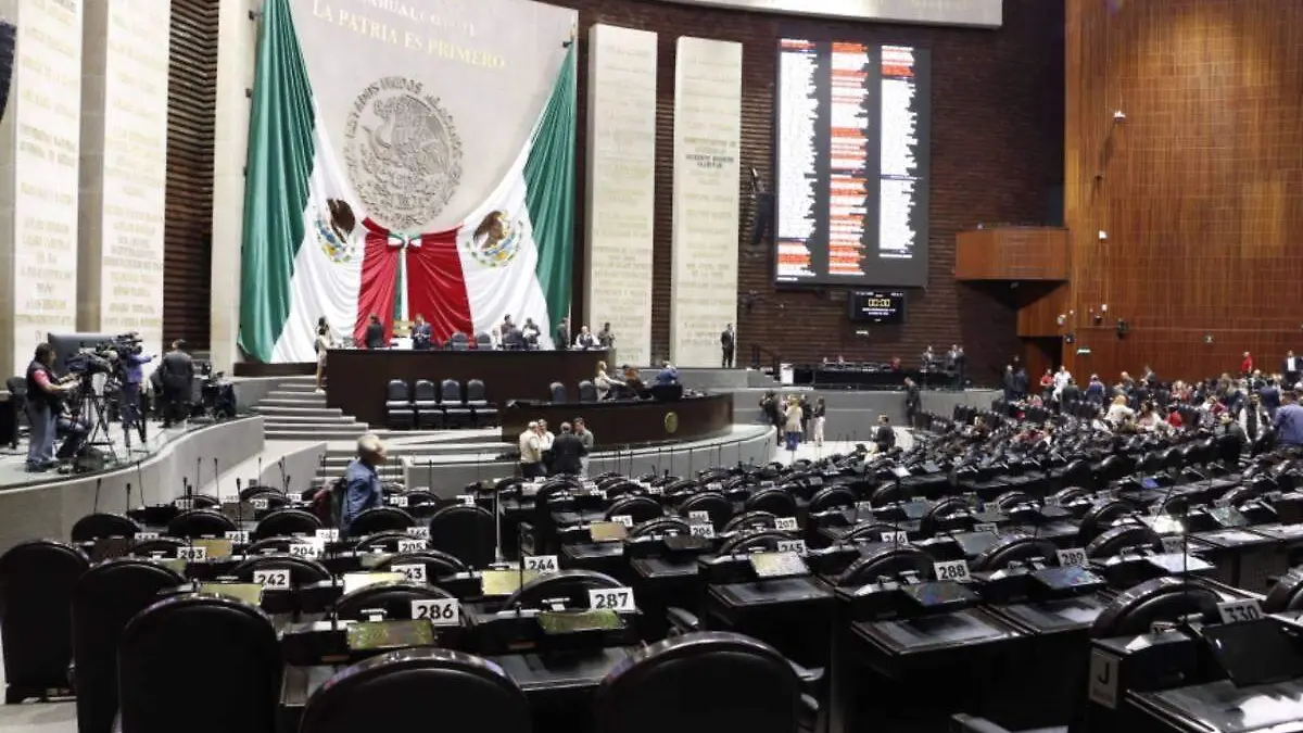 Cámara de Diputados (15)