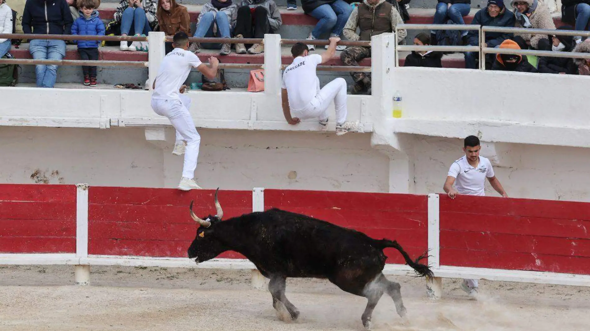 Tauromaquia-España