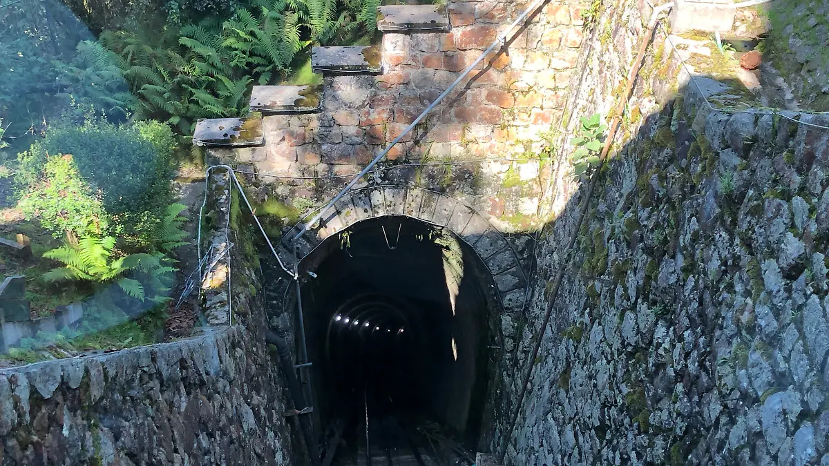 De pisa y corre en Bogotá (4)