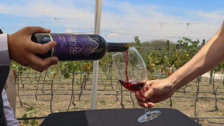 Producción de vinos-Querétaro