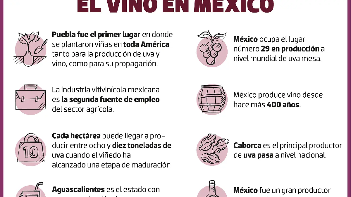 Algunos datos sobre el vino en México