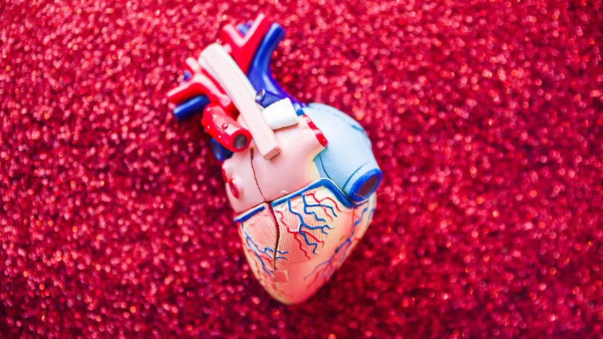 Corazon_enfermedades cardiacas