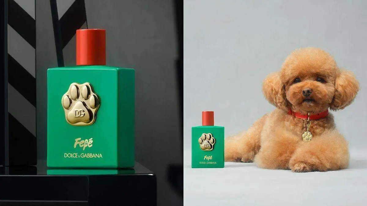 Dolce and Gabbana-perfume para perros