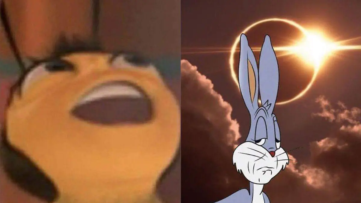 Eclipse solar memes