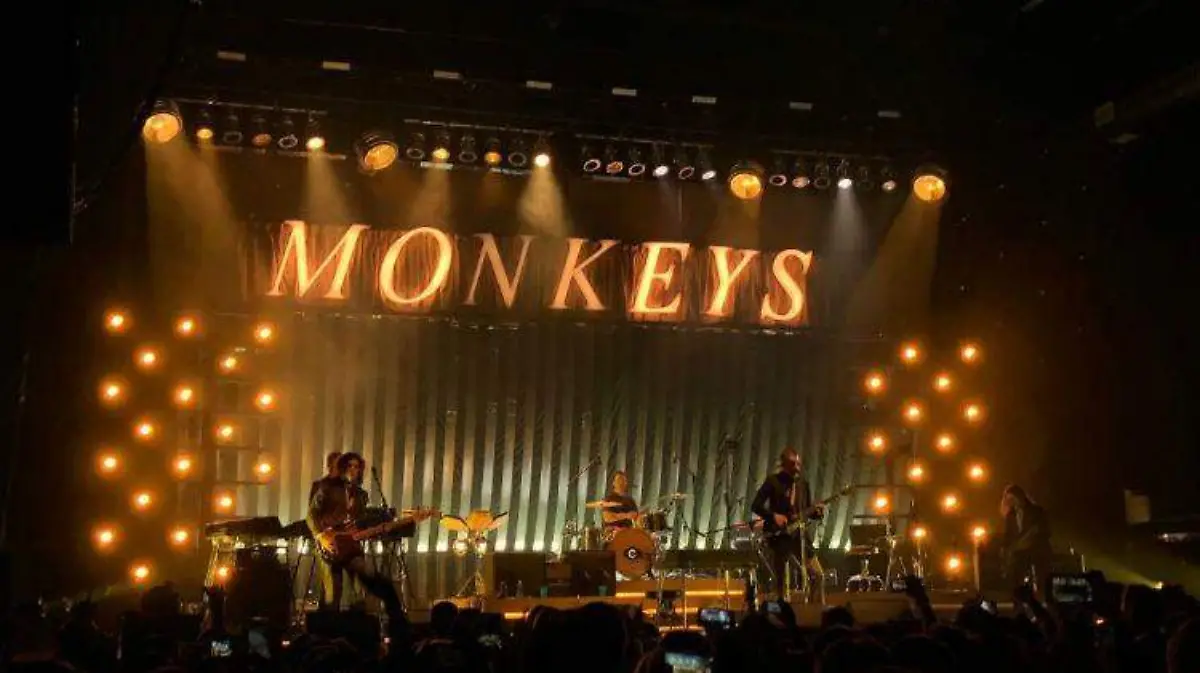 monkeys