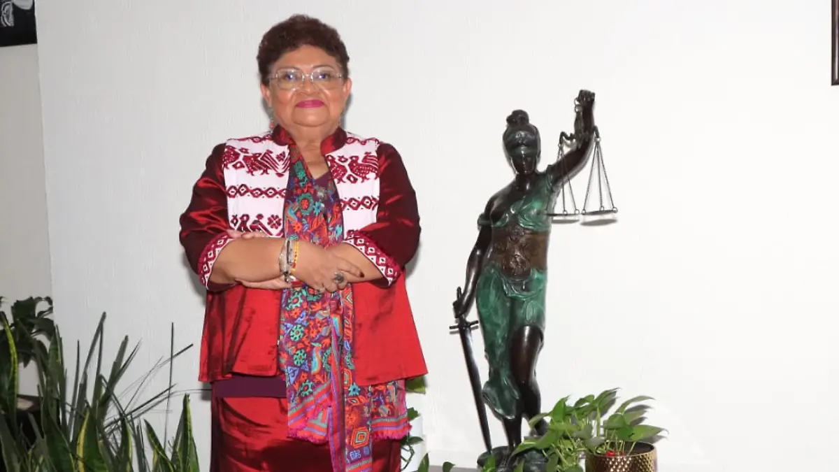 ernestina_godoy_daviddeolarte_prensa01