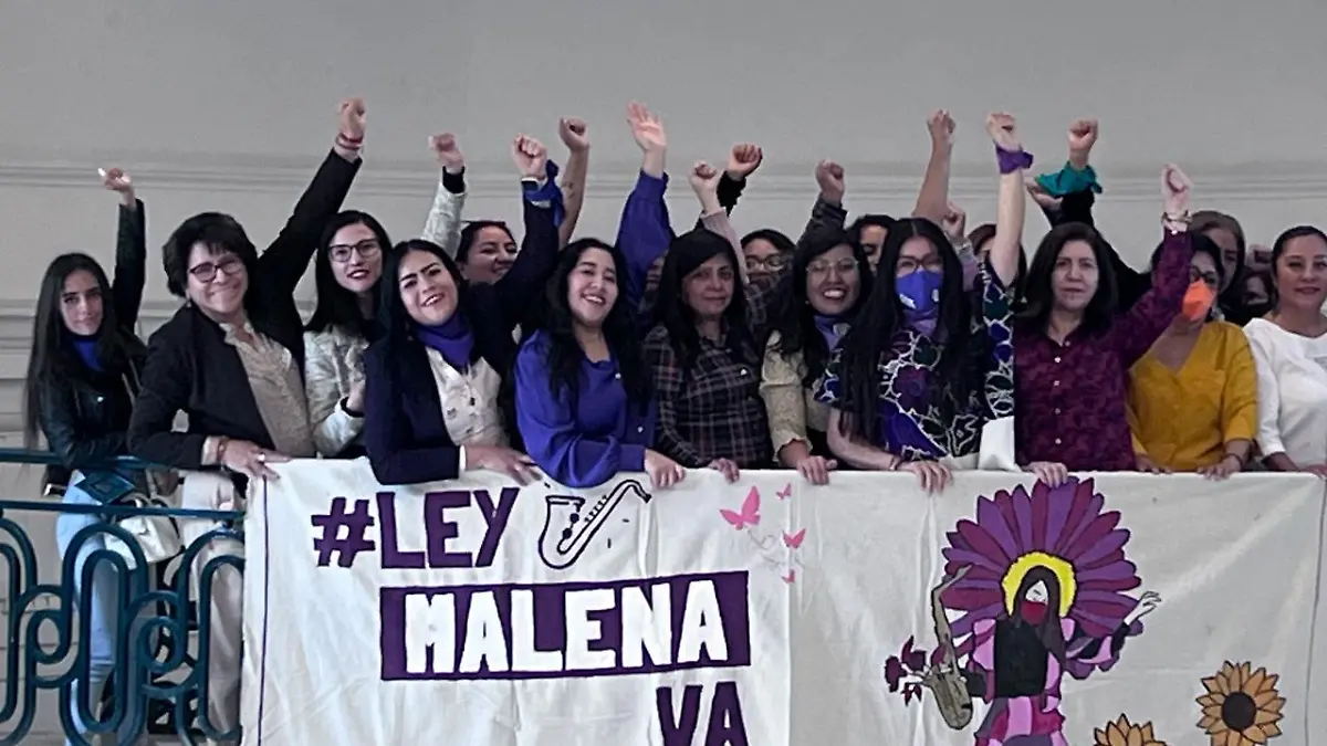 Ley Malena