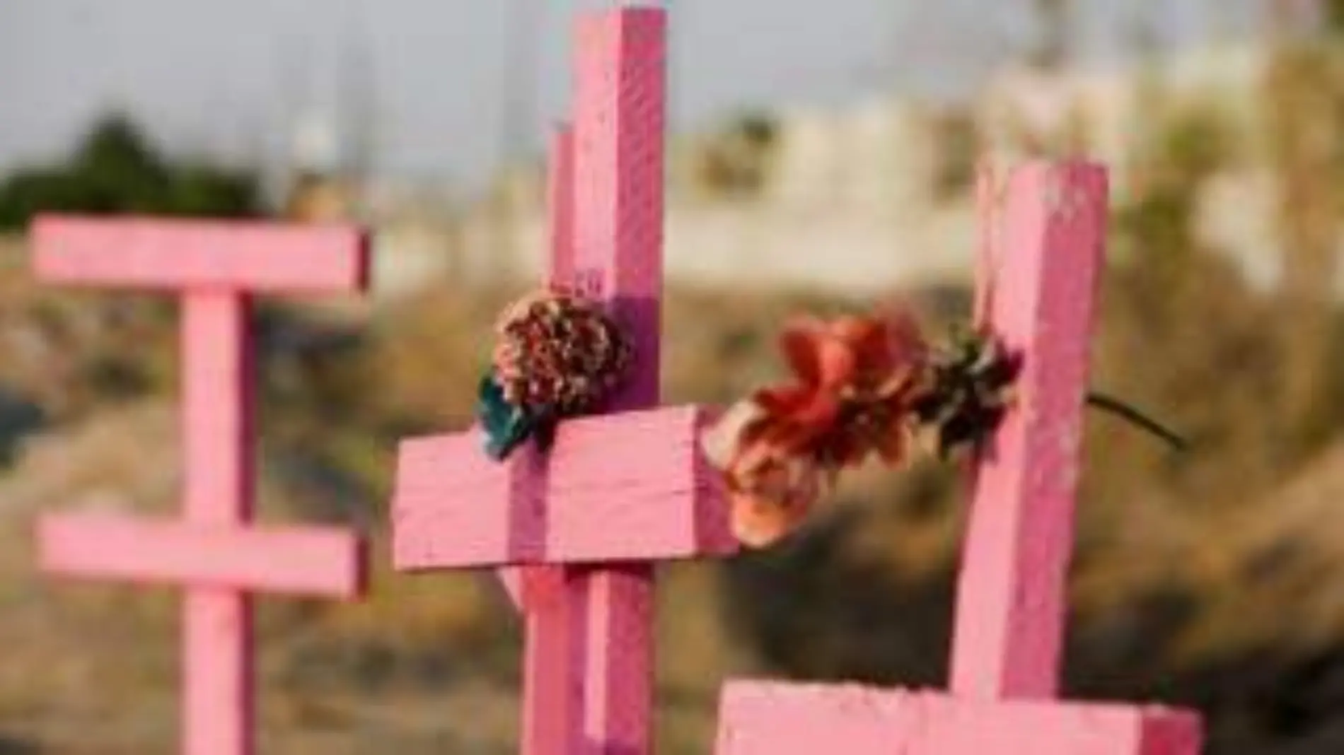 150831185436_mexico_feminicidios_cruces_rosa_afp_624