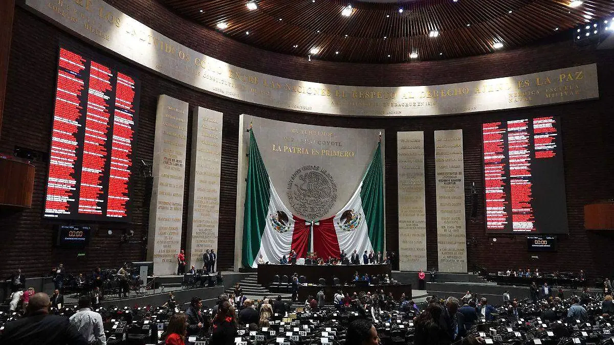 Cámara de diputados (8)