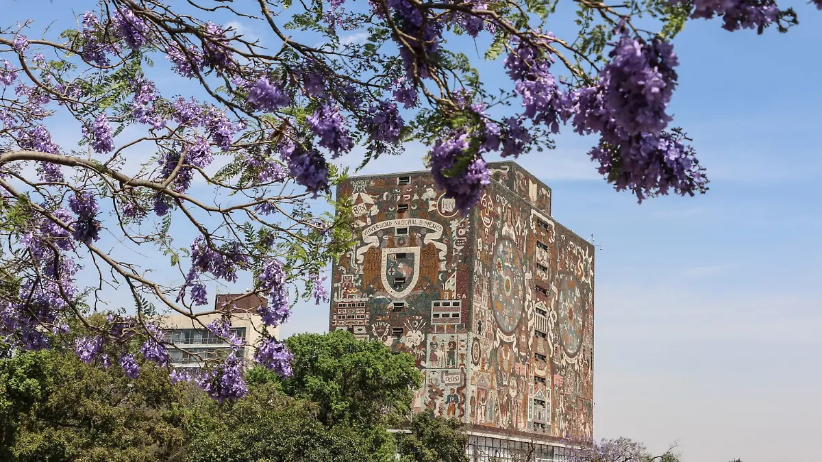 Clases en universidades - 1 de octubre