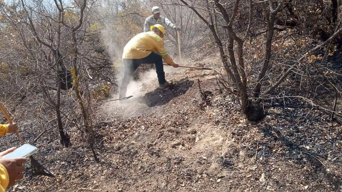 Incendio-oaxaca