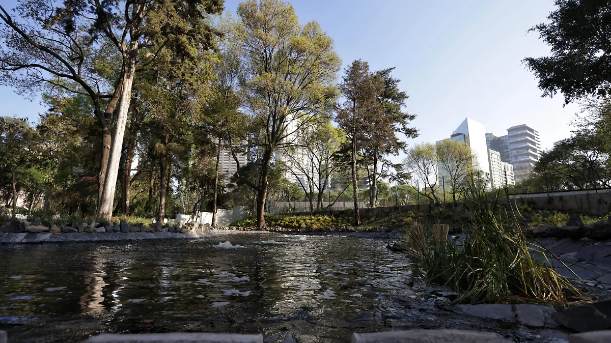 Bosque de Chapultepec: Conoce el tour que recorre los 12 parques de este sitio