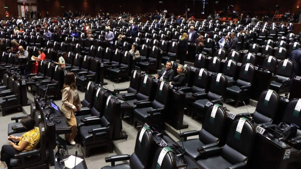 Cámara de Diputados (7)