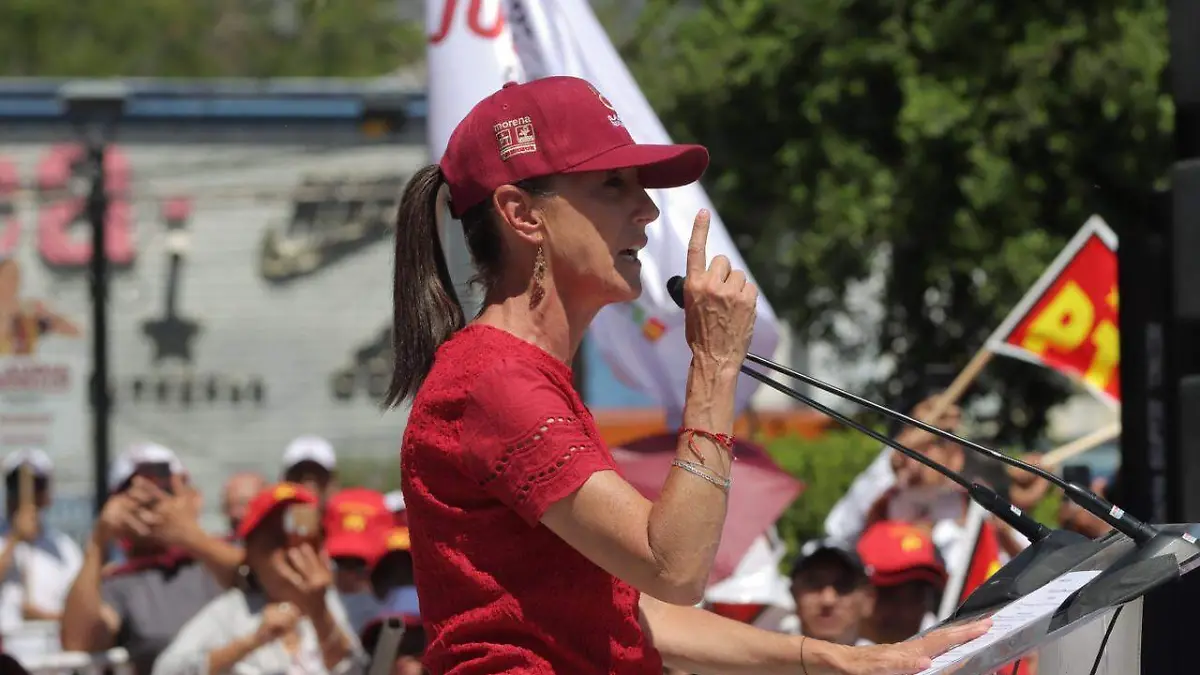 WhatsApp Image 2024-03-22 at 2.18.02 PM (1)