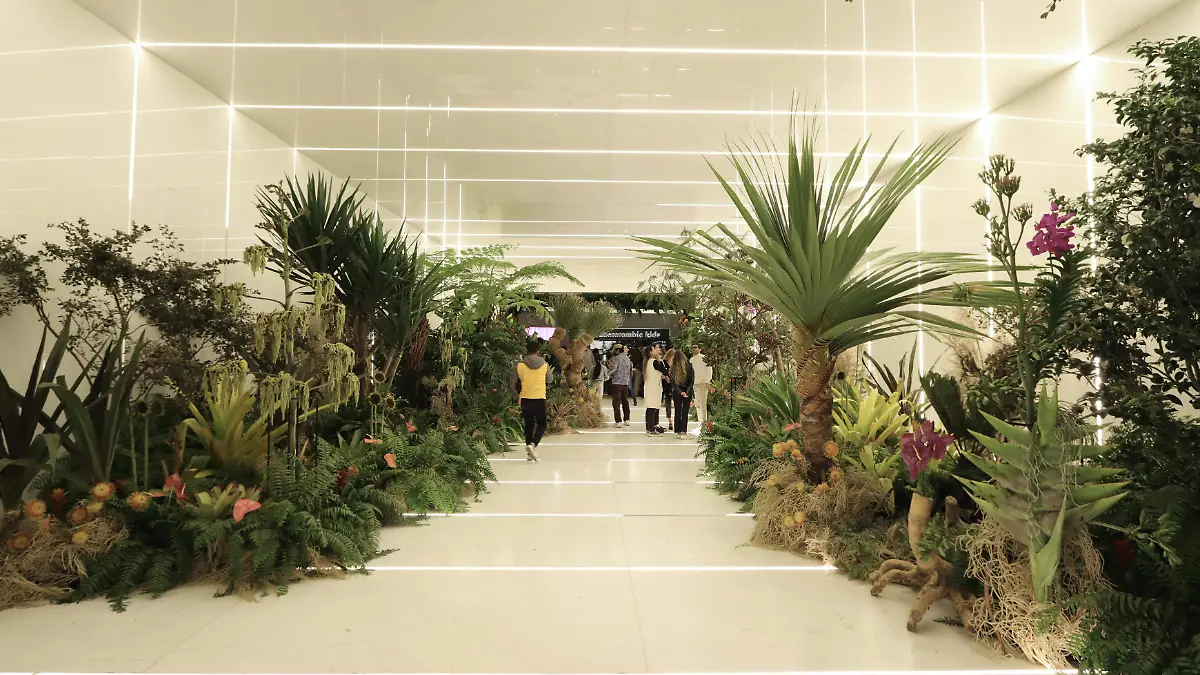 El montaje llevó por título "Sueños Botánicos" / Adrián Vázquez