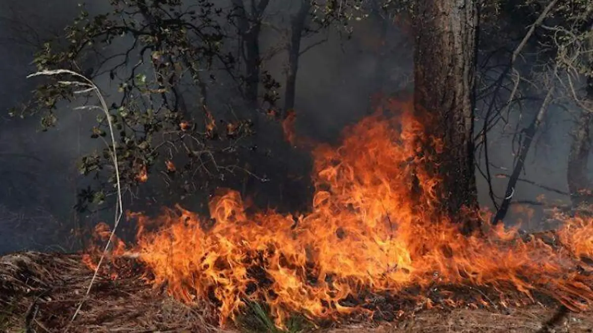 Incendio en Coahuila y Nuevo León (4)