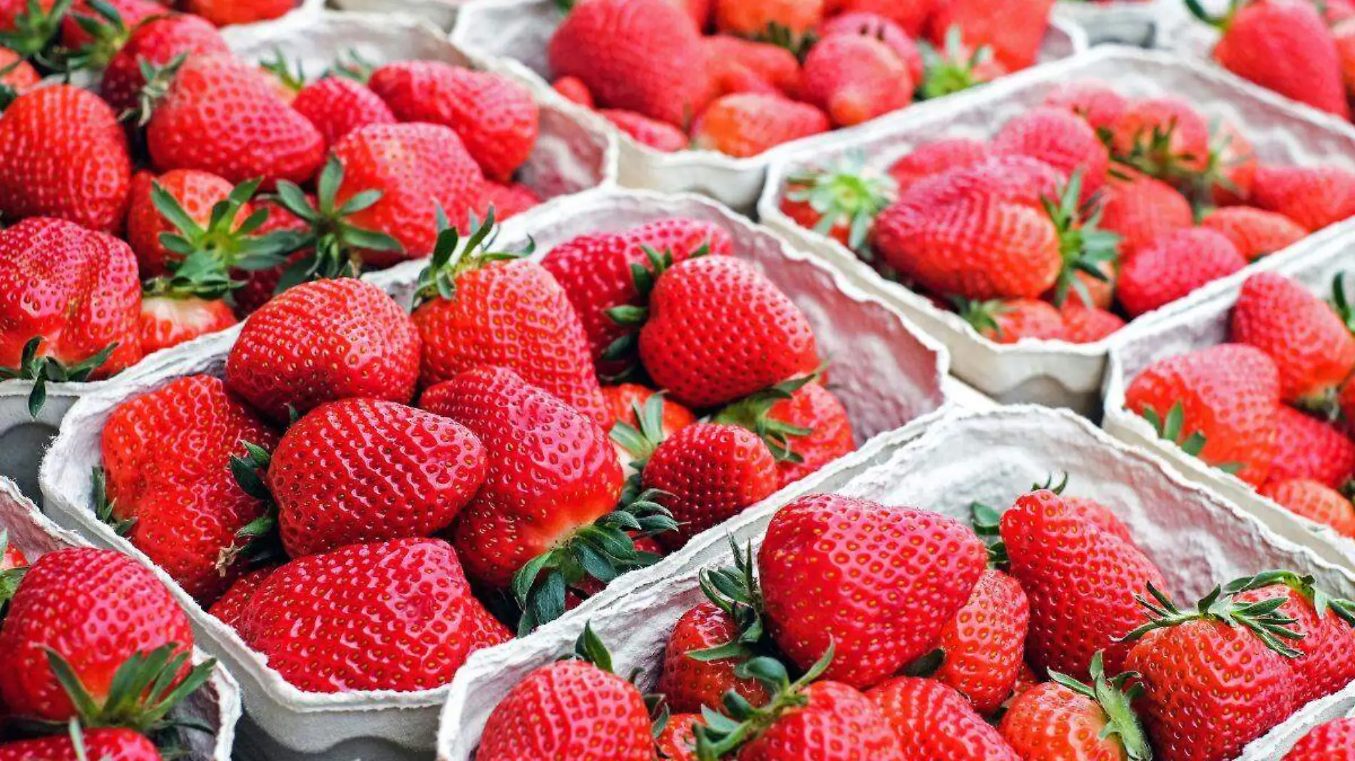 Fresas