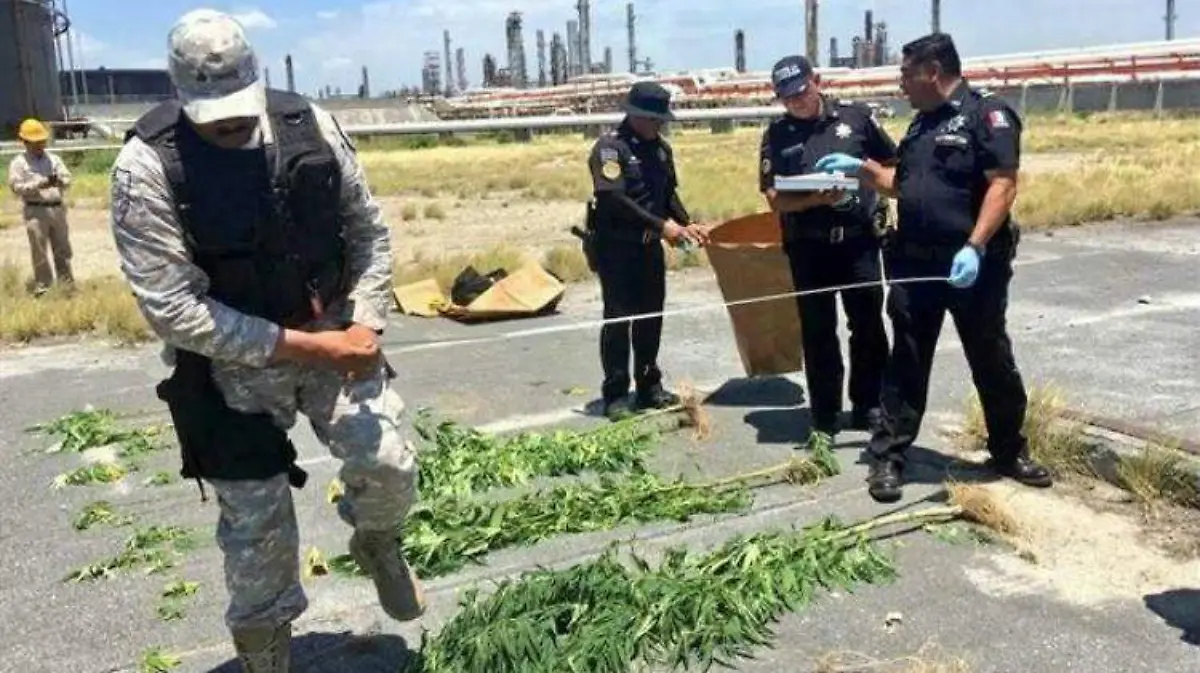 marihuana cadereyta ESPECIAL