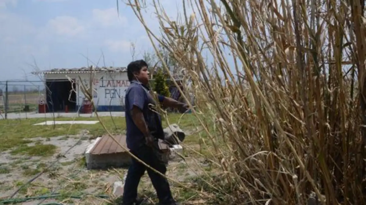 judas-sabadodegloria-toluca