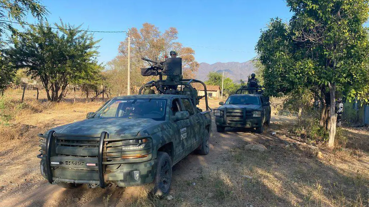 Decomisan arsenal en Michoacán 