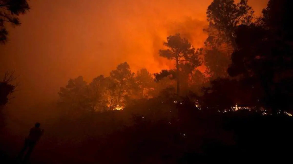 Incendio en Coahuila y Nuevo León (2)