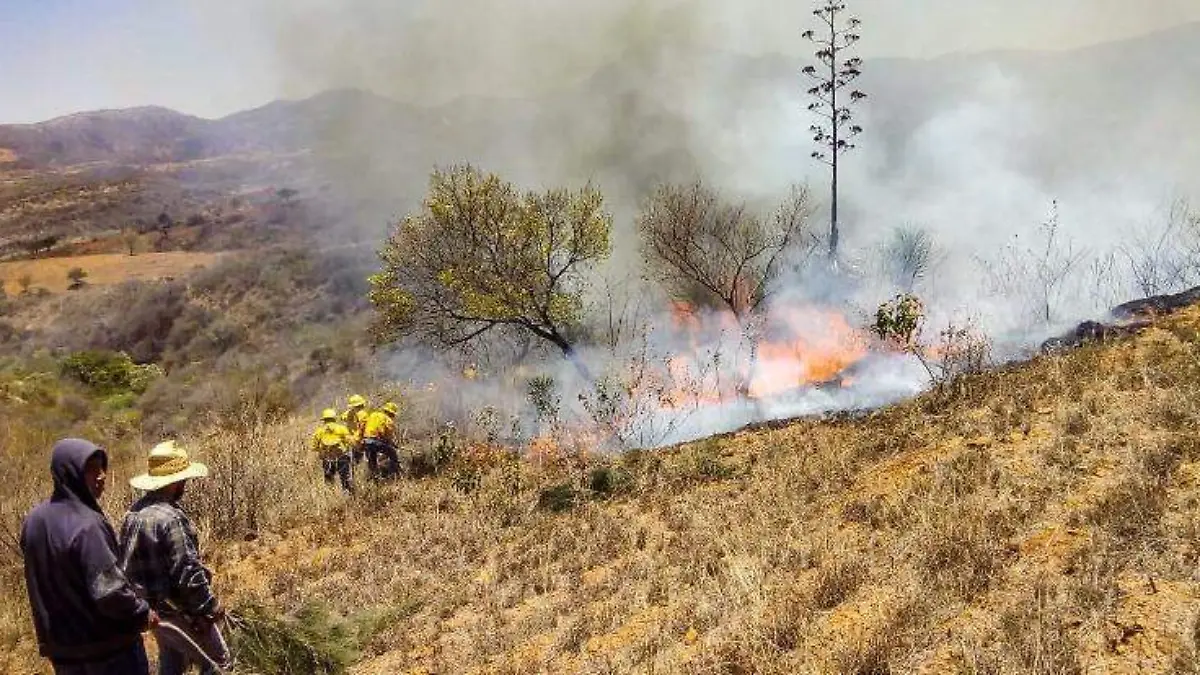 incendios oaxaca ESPECIAL (1)