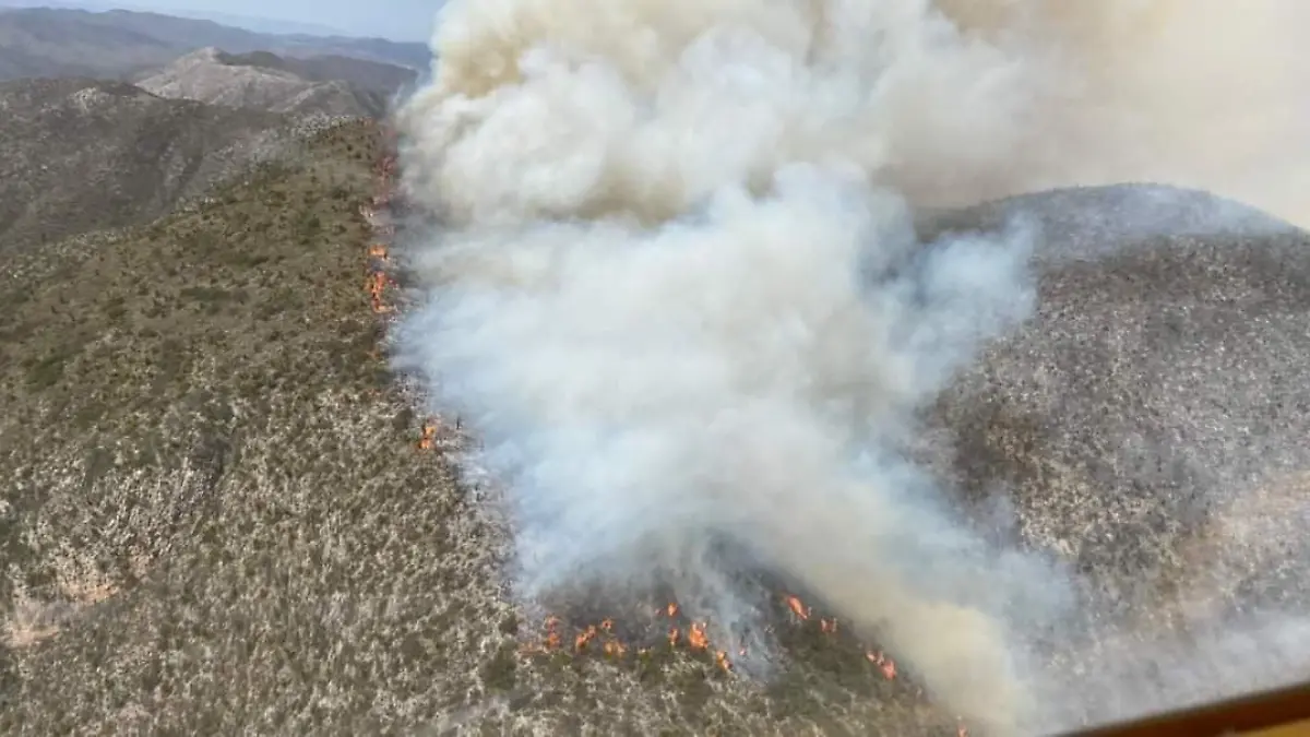 Incendio forestal de San Luis Potosí se extiende a Nuevo León