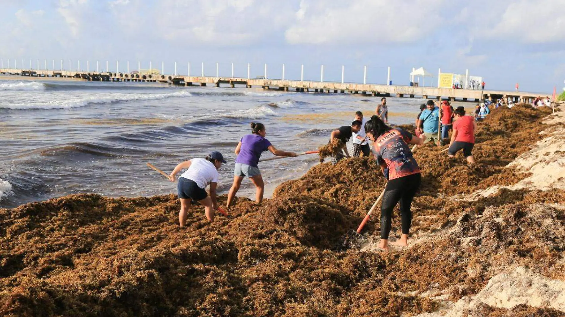 Playa_del_Carmen_Sargazo-5